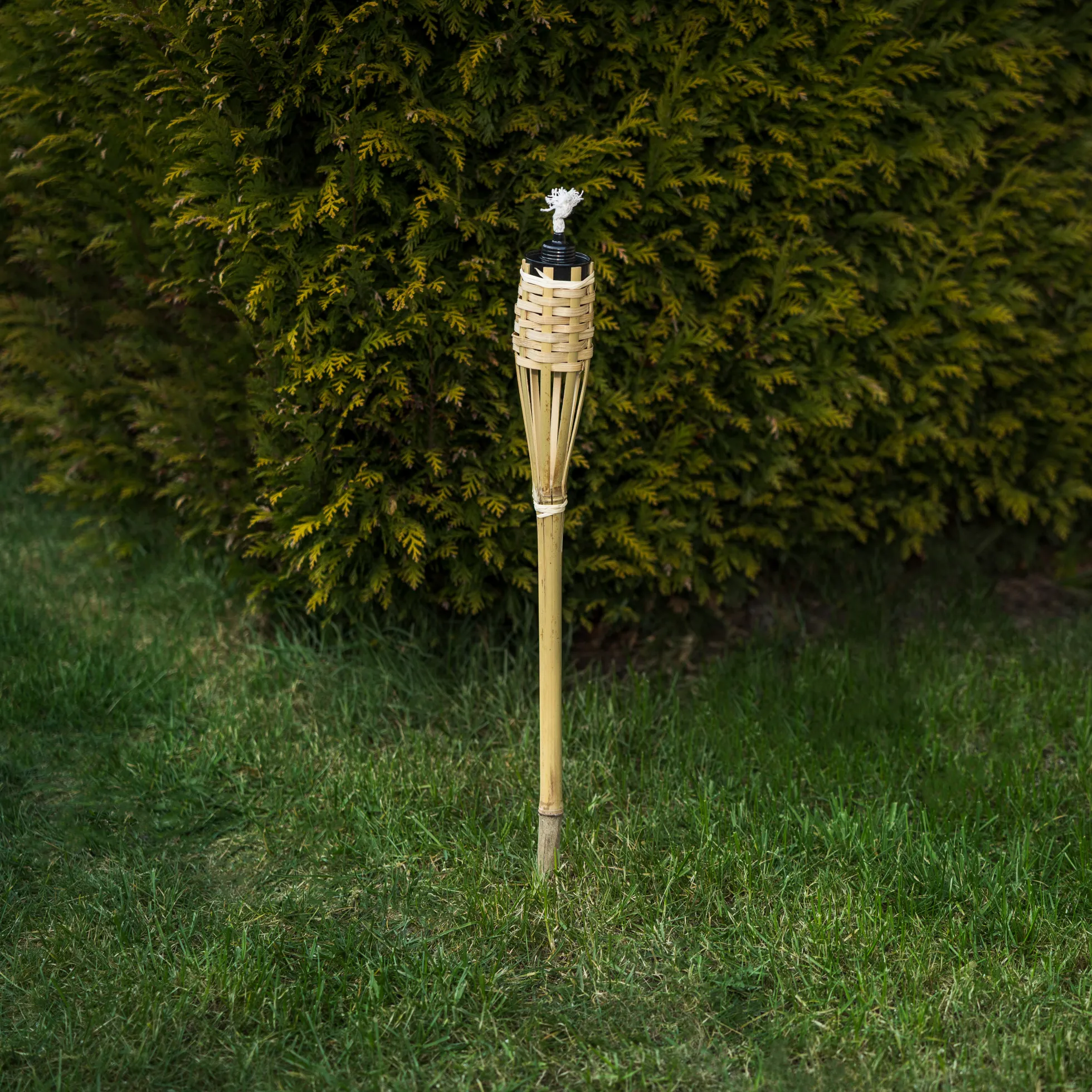 Bambusfakkelsæt natur 60cm