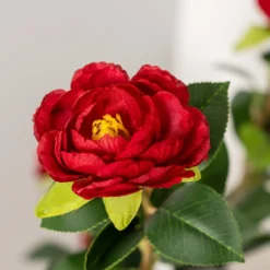 Kunstig kamelia japansk rosetræ rød 90 cm