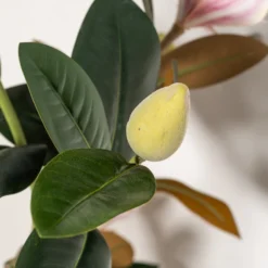 Kunstig magnoliatræ 80 cm