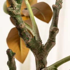 Kunstig magnoliatræ 160 cm