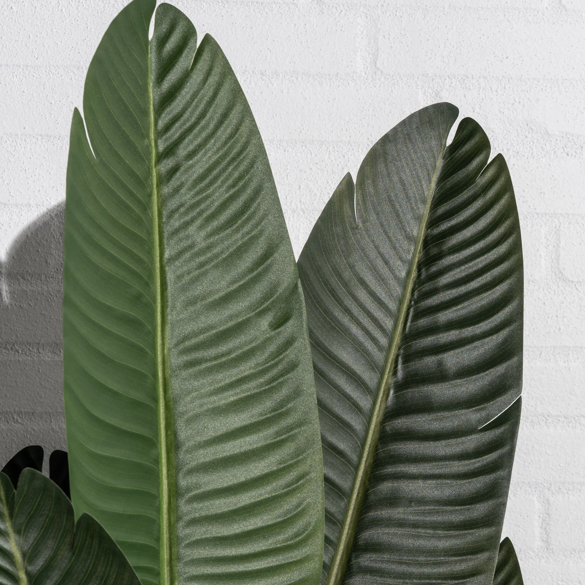 Kunstig strelitzia plante 160cm