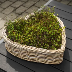 Kurv hjerteformet 42x44x13cm