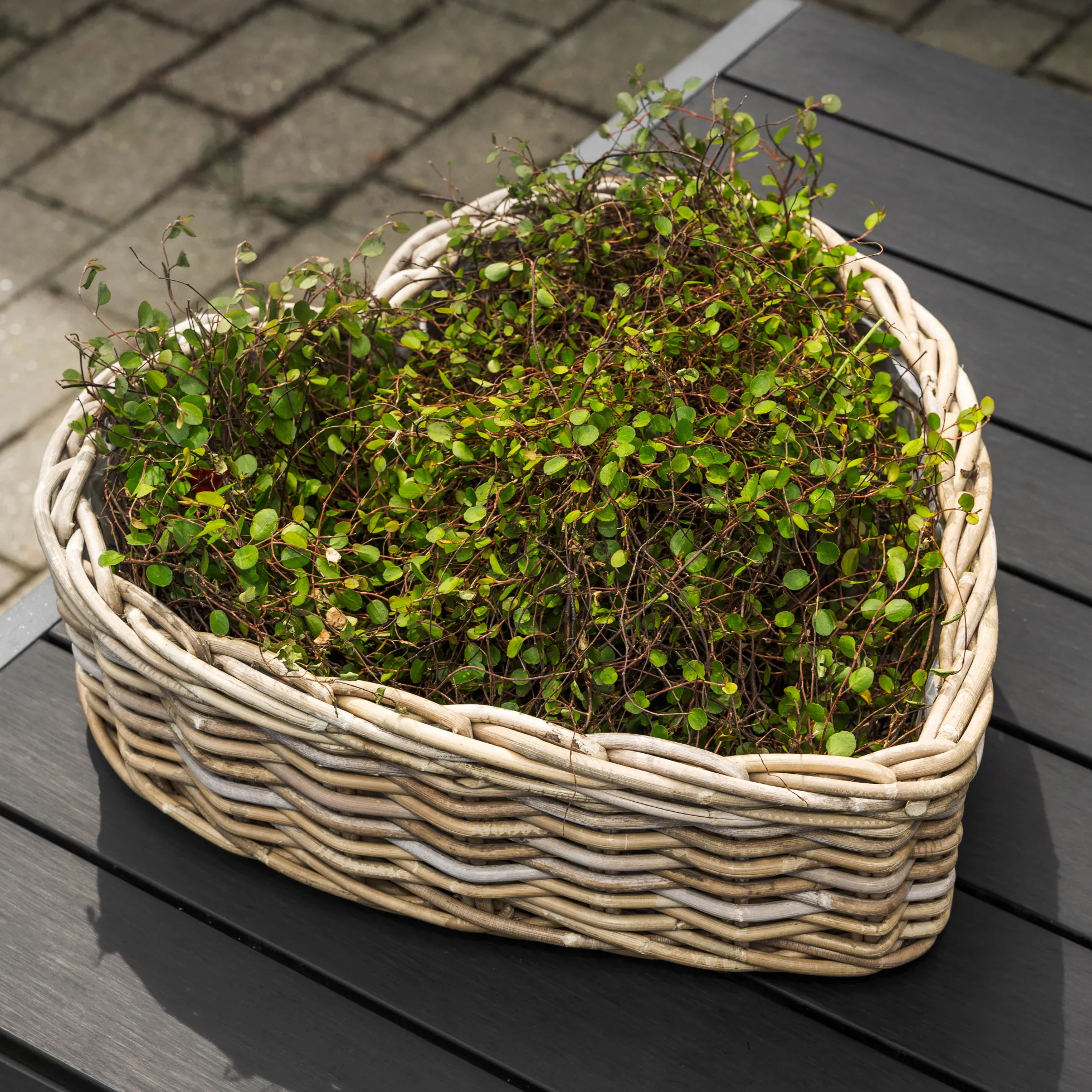 Kurv hjerteformet 42x44x13cm