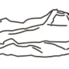 Liner til Steel Pro 300x201x66cm