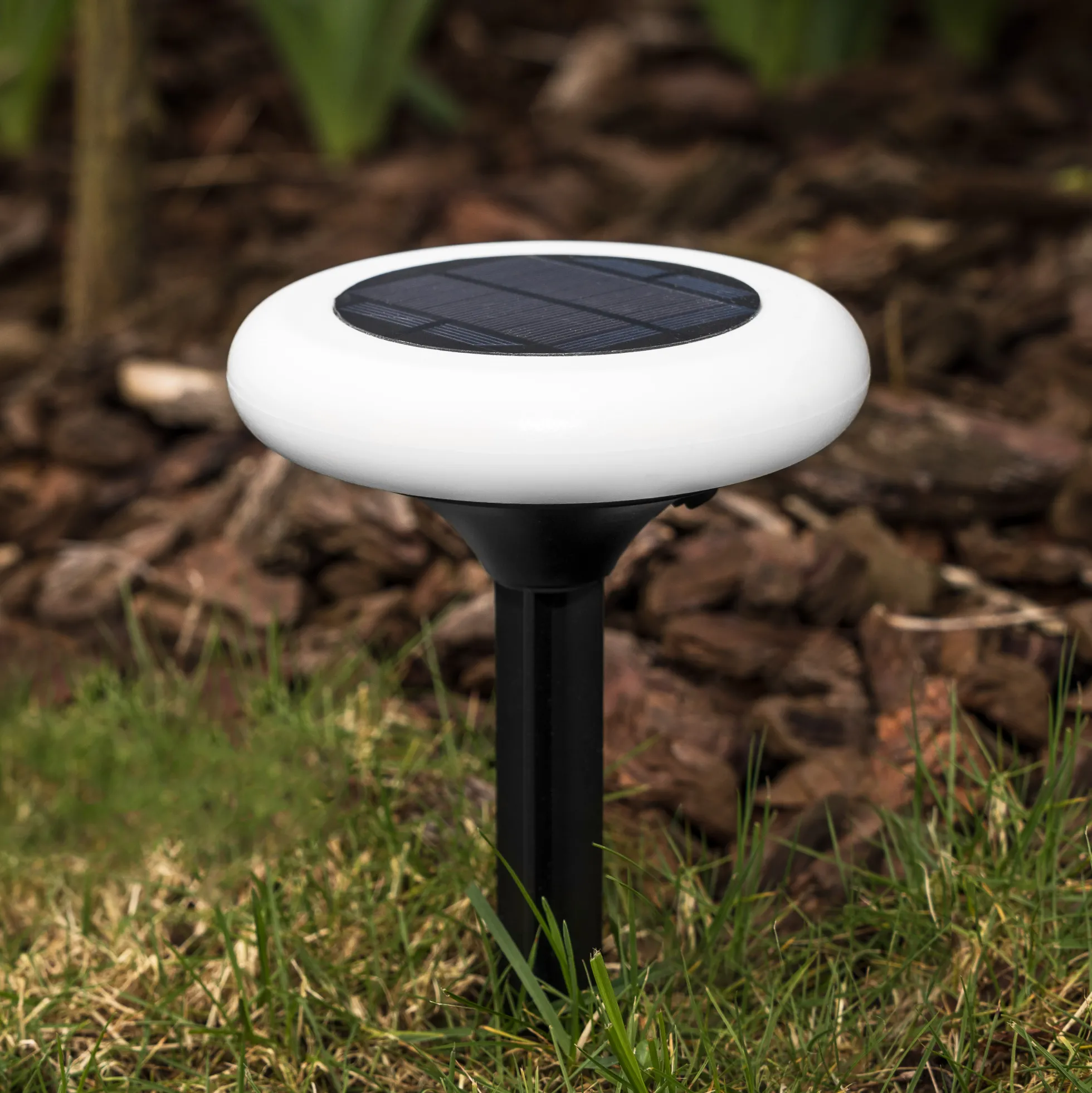 Solcellelampe Torch 10LED