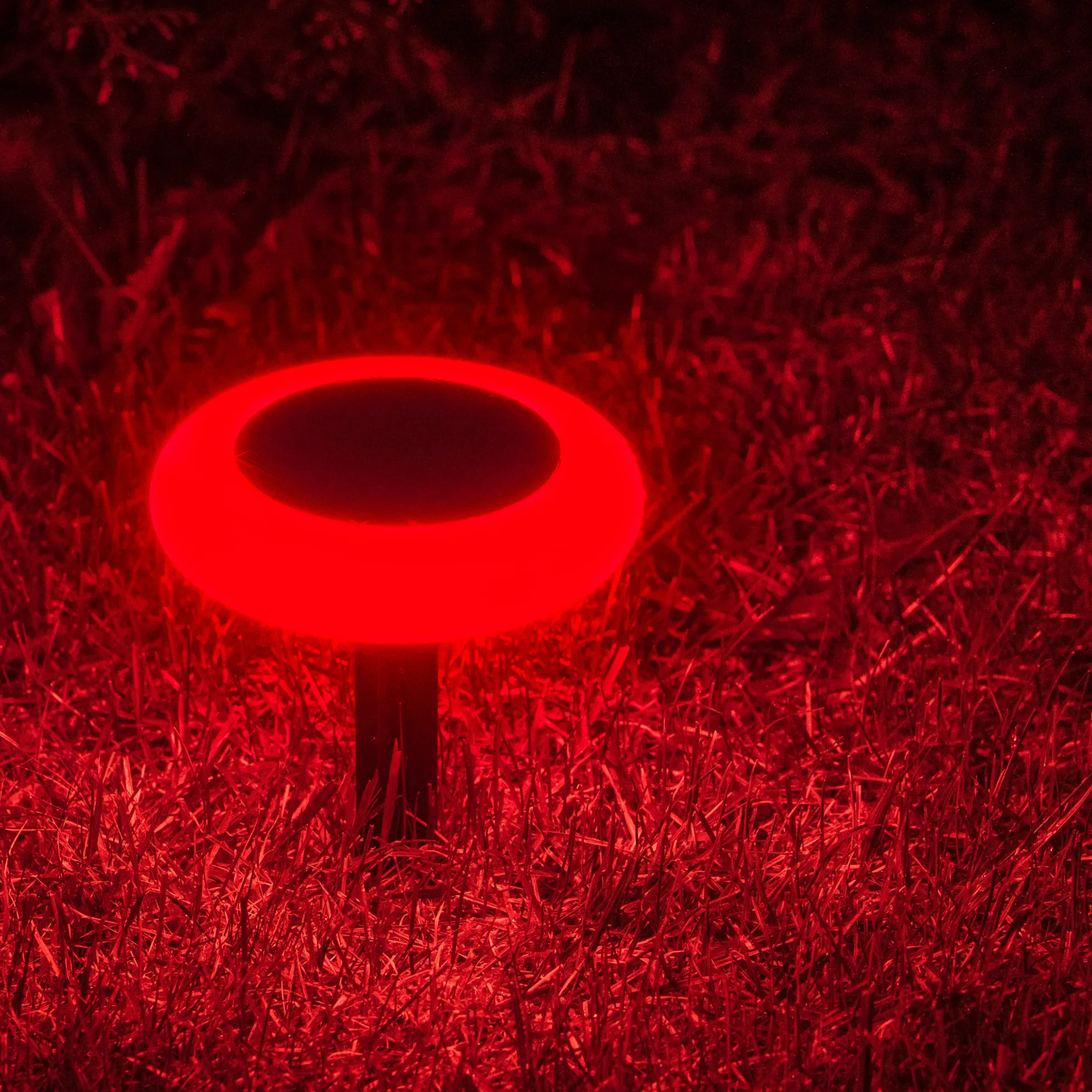 Solcellelampe Torch 10LED